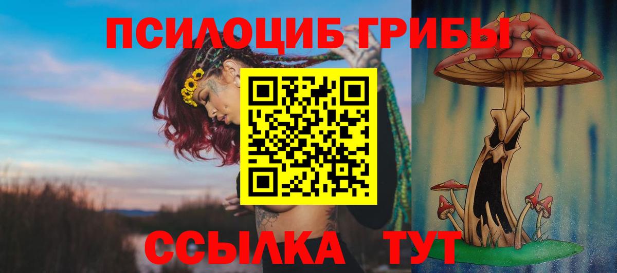 Псилоцибиновые грибы мухоморы Артёмовский